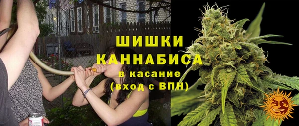 стафф Нефтекумск