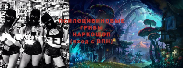 стафф Нефтекумск
