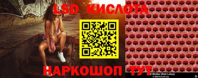 бутират Кингисепп