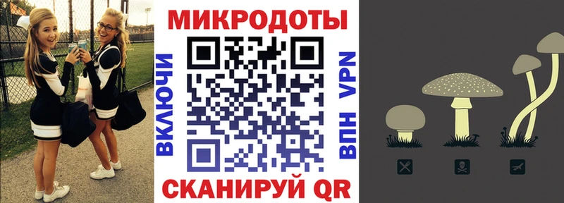 купить Нефтекамск Галлюциногенные грибы прущие грибы