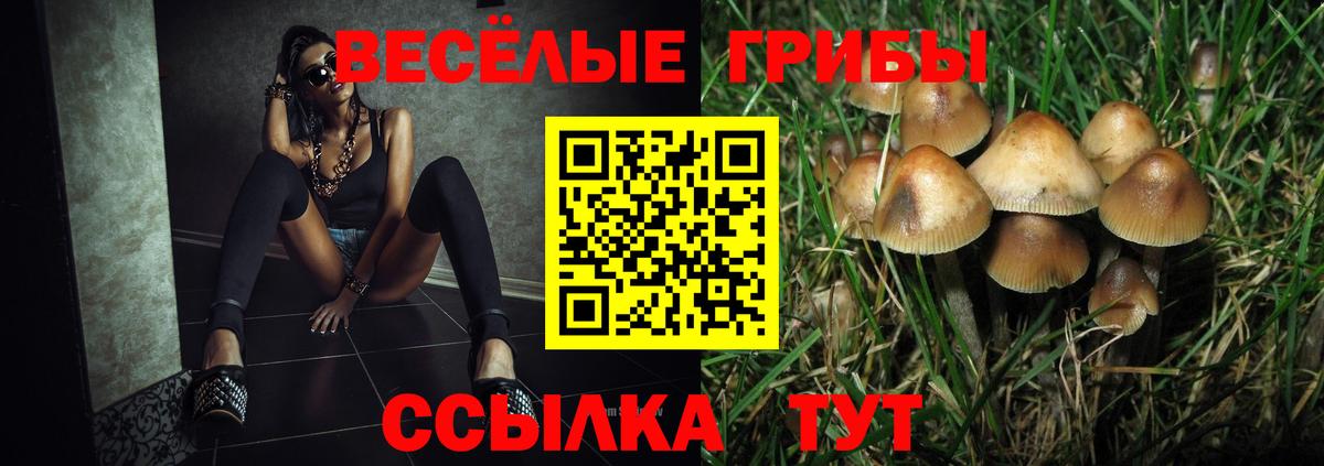 Галлюциногенные грибы прущие грибы  Галлюциногенные грибы ЛСД  Вход с VPN  Нефтекамск 